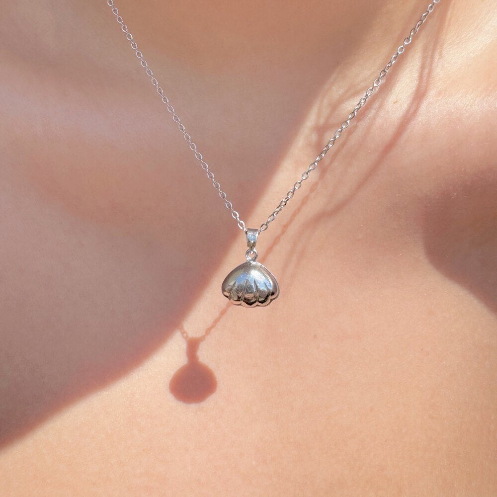 Collar Shellys Stainless Steel