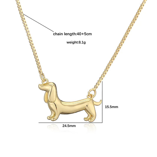 Collar Dog Salchi Stainless Steel