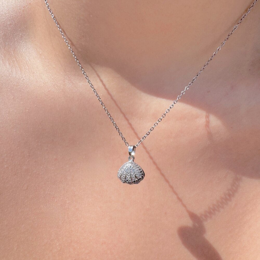 Collar Shellys Stainless Steel