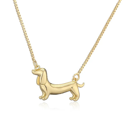 Collar Dog Salchi Stainless Steel