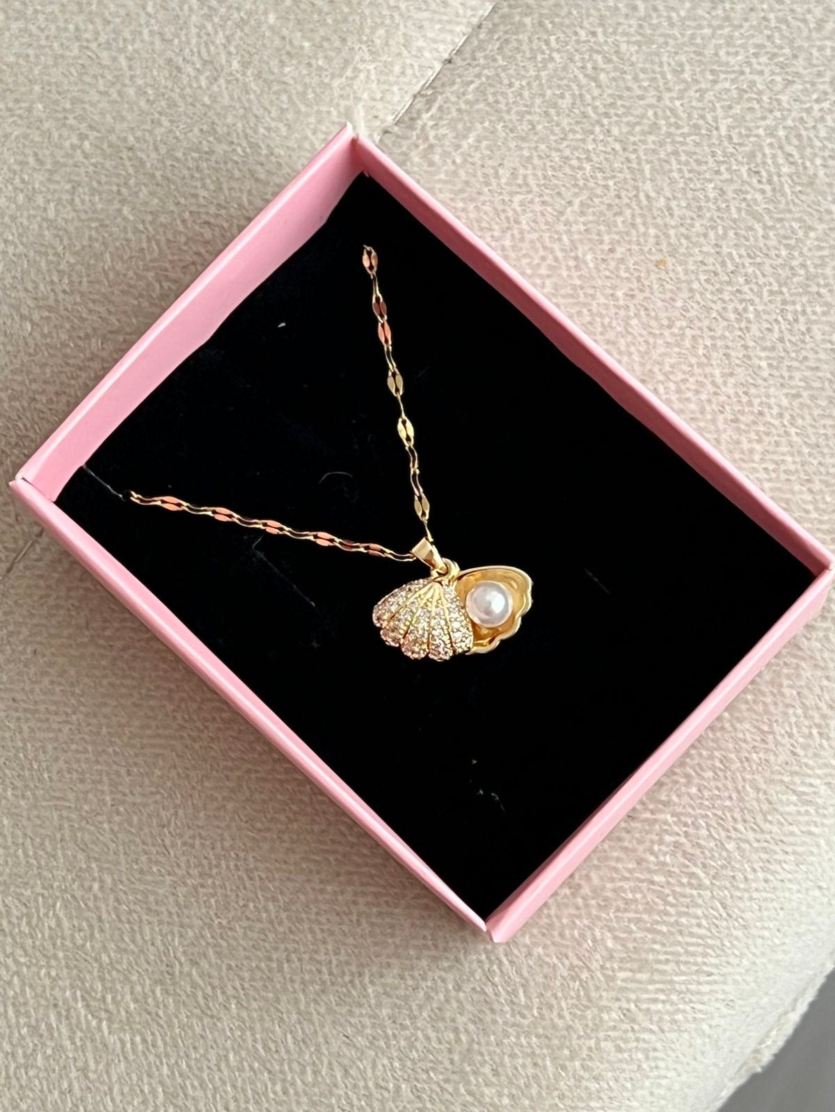 Collar Shellys Stainless Steel